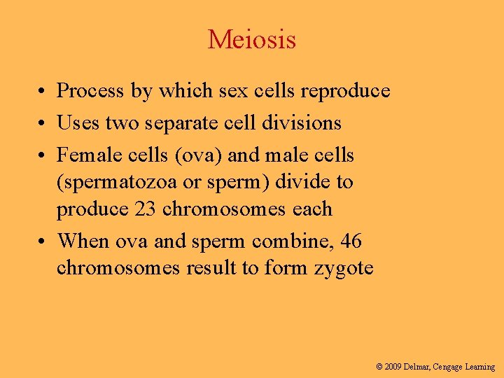 Meiosis • Process by which sex cells reproduce • Uses two separate cell divisions