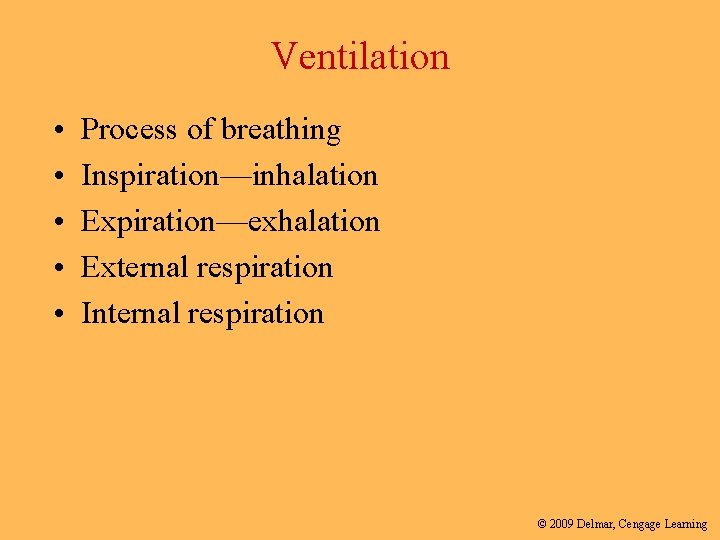 Ventilation • • • Process of breathing Inspiration—inhalation Expiration—exhalation External respiration Internal respiration ©