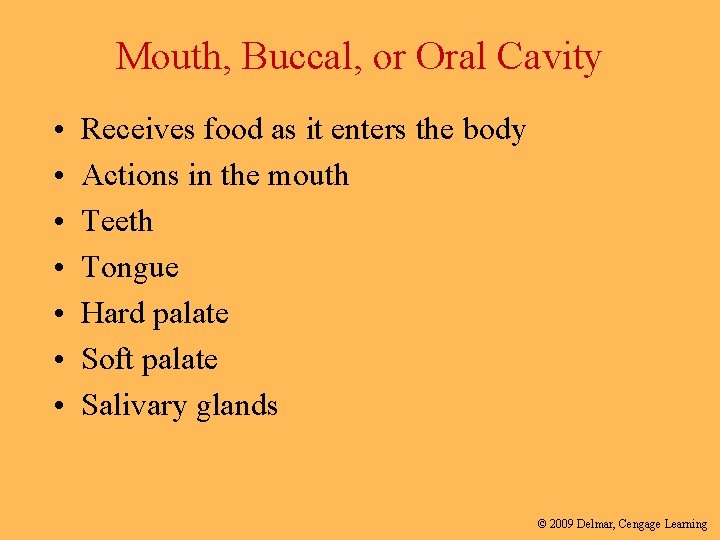 Mouth, Buccal, or Oral Cavity • • Receives food as it enters the body