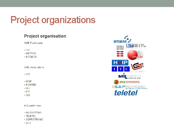 Project organizations 