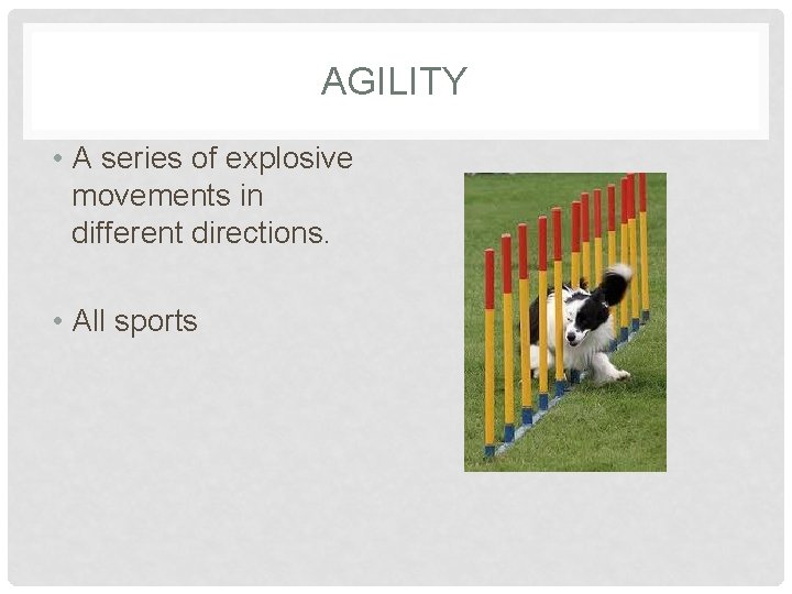 AGILITY • A series of explosive movements in different directions. • All sports 