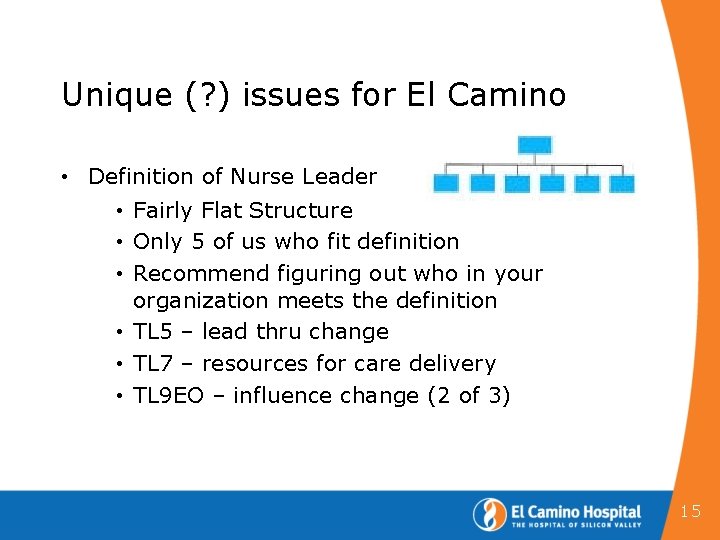 Unique (? ) issues for El Camino • Definition of Nurse Leader • Fairly