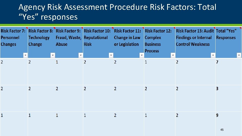 Agency Risk Assessment Procedure Risk Factors: Total “Yes” responses 45 Agency Risk Assessment Procedure Risk Factors: Total “Yes” responses 45