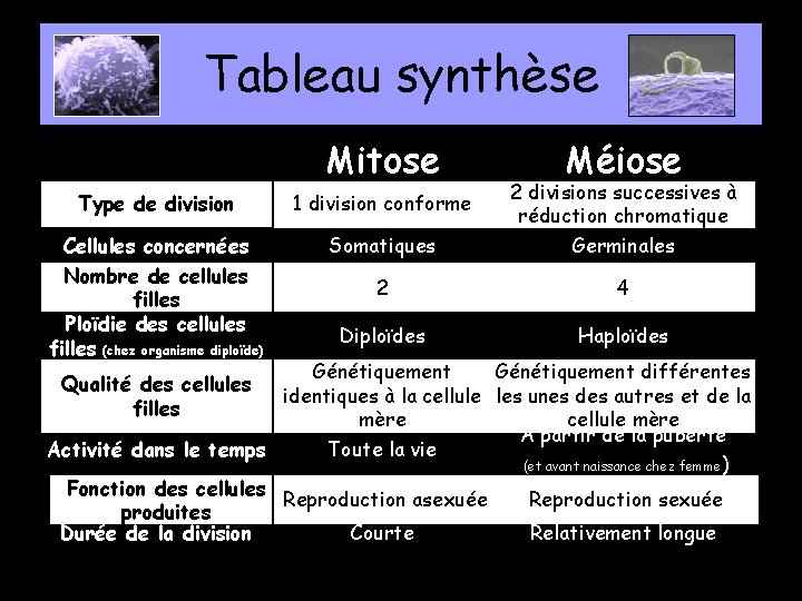 Tableau synthèse Mitose Méiose Type de division 1 division conforme Cellules concernées Nombre de