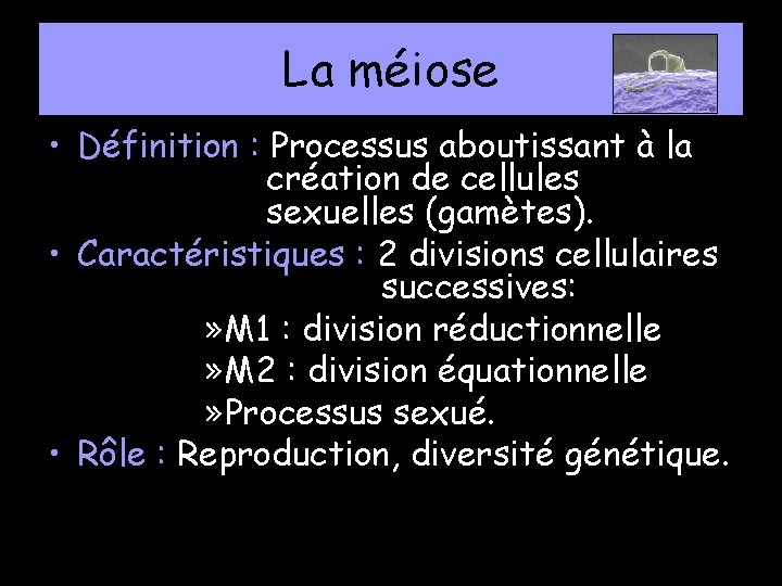 La méiose • Définition : Processus aboutissant à la création de cellules sexuelles (gamètes).
