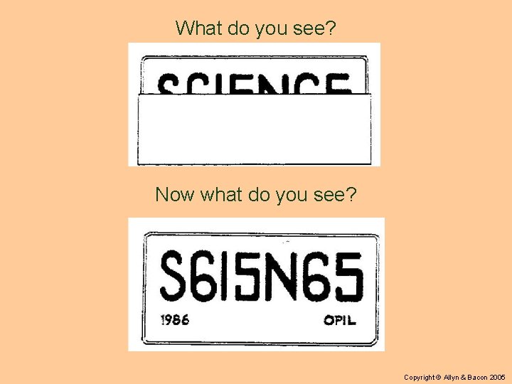 What do you see? Now what do you see? Copyright © Allyn & Bacon