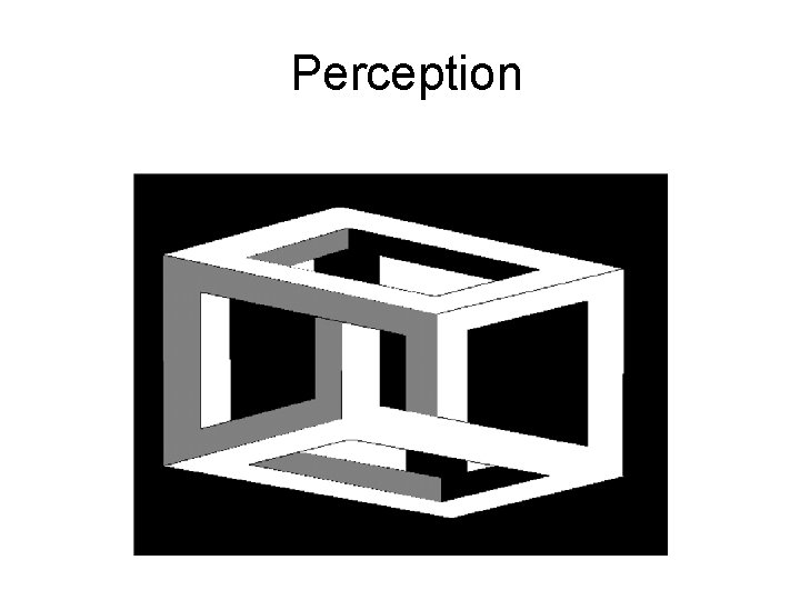 Perception 