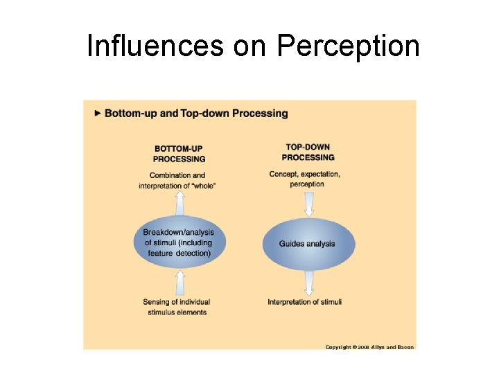 Influences on Perception 