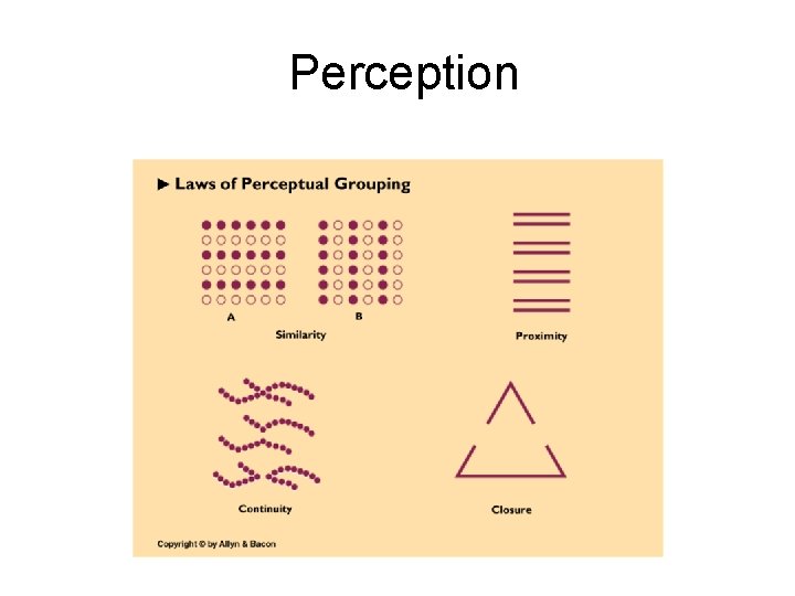 Perception 