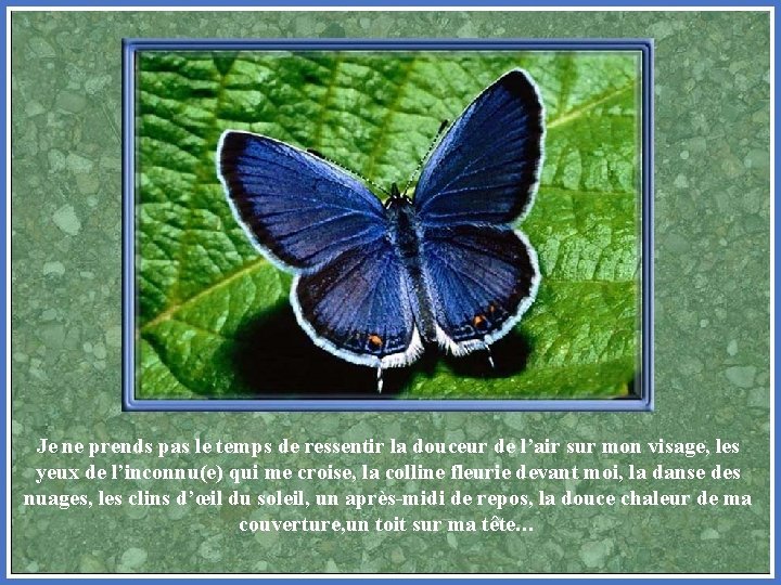 Je ne prends pas le temps de ressentir la douceur de l’air sur mon