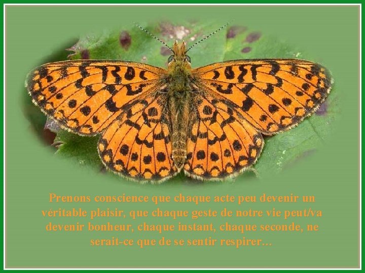 Prenons conscience que chaque acte peu devenir un véritable plaisir, que chaque geste de