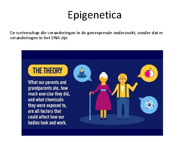 Epigenetica De wetenschap die veranderingen in de genexpressie onderzoekt, zonder dat er veranderingen in