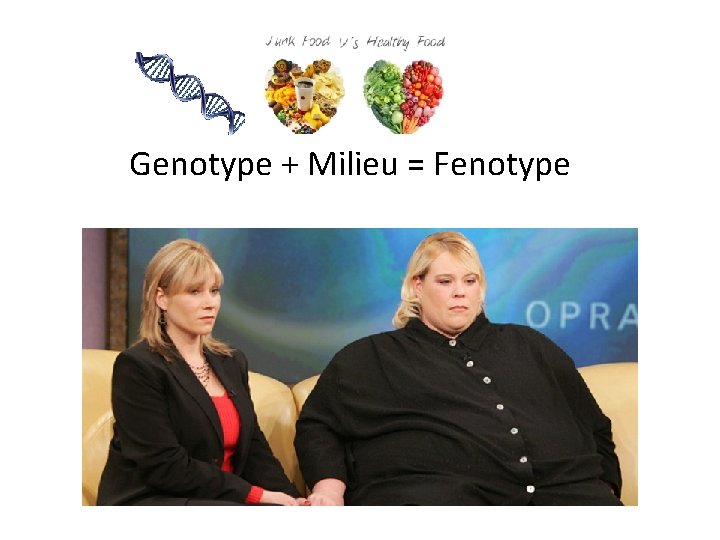 Genotype + Milieu = Fenotype 