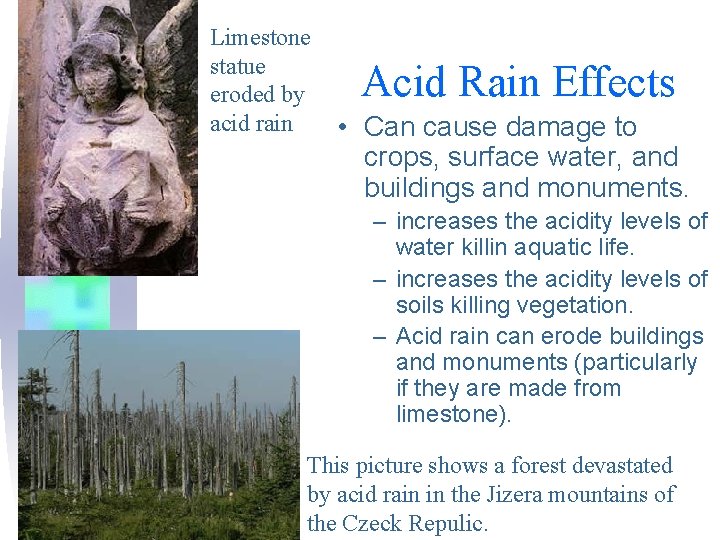 Limestone statue eroded by acid rain Acid Rain Effects • Can cause damage to