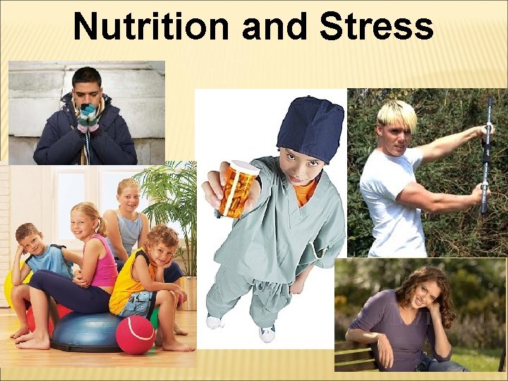 Nutrition and Stress 