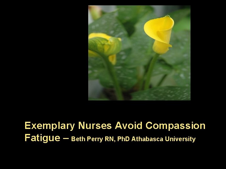 Exemplary Nurses Avoid Compassion Fatigue – Beth Perry RN, Ph. D Athabasca University 