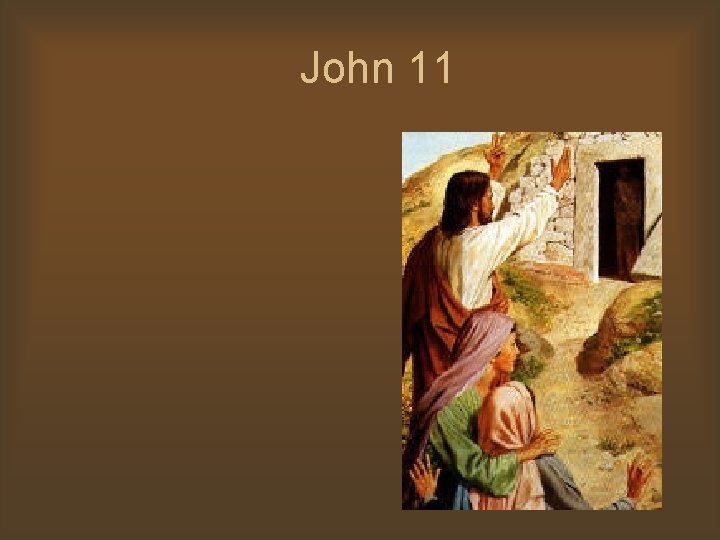 John 11 