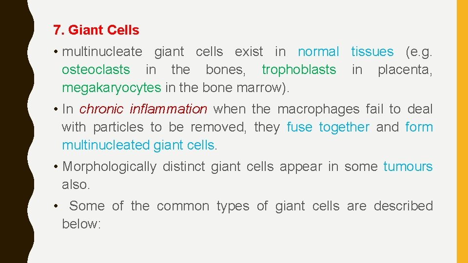 7. Giant Cells • multinucleate giant cells exist in normal tissues (e. g. osteoclasts