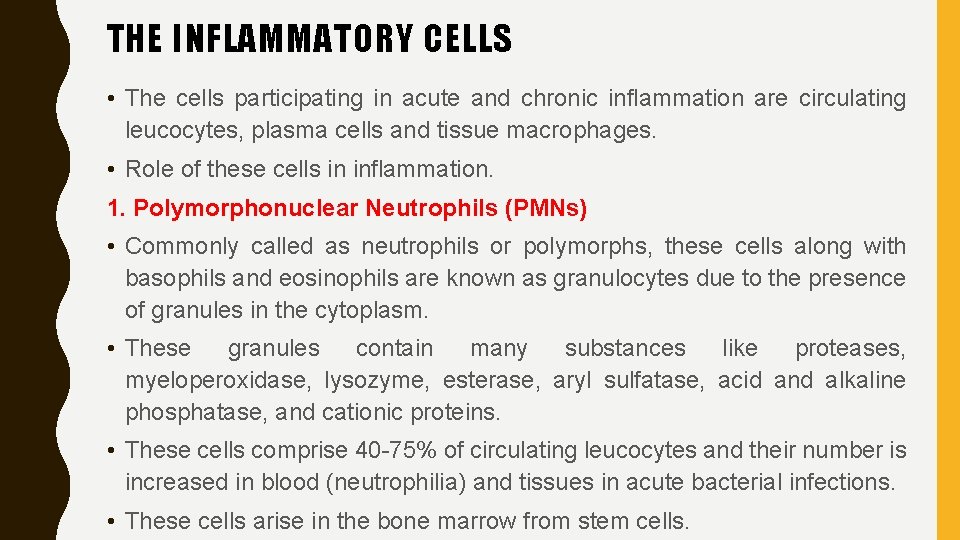 THE INFLAMMATORY CELLS • The cells participating in acute and chronic inflammation are circulating