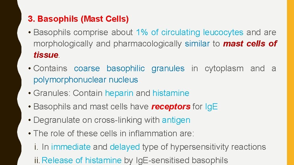 3. Basophils (Mast Cells) • Basophils comprise about 1% of circulating leucocytes and are