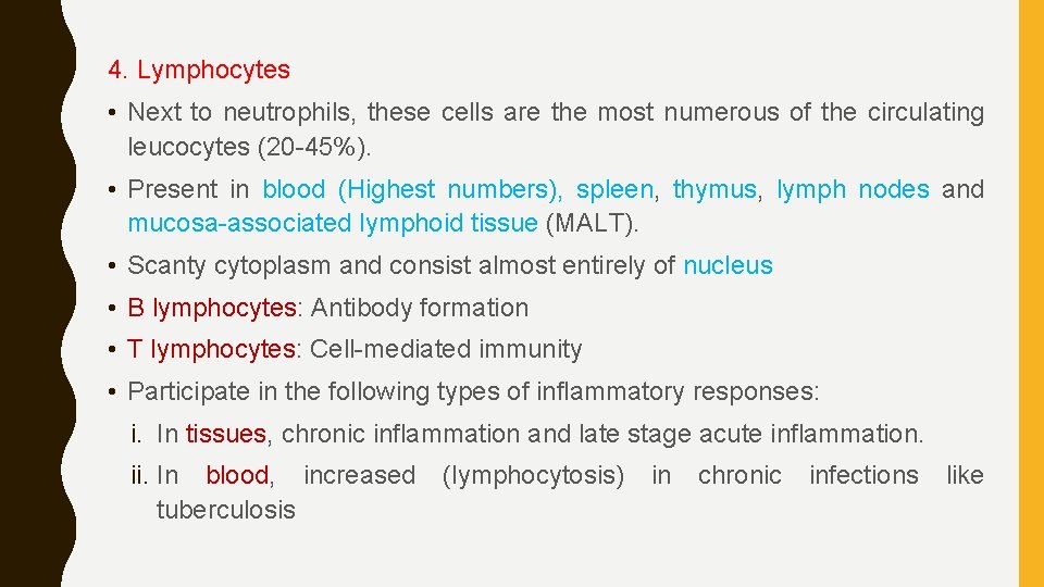 4. Lymphocytes • Next to neutrophils, these cells are the most numerous of the