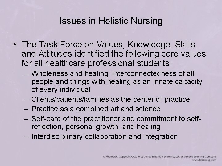 Issues in Holistic Nursing • The Task Force on Values, Knowledge, Skills, and Attitudes