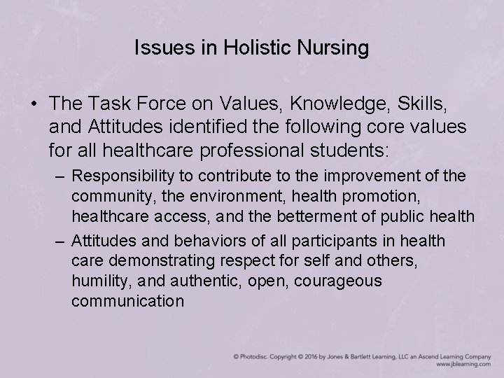 Issues in Holistic Nursing • The Task Force on Values, Knowledge, Skills, and Attitudes