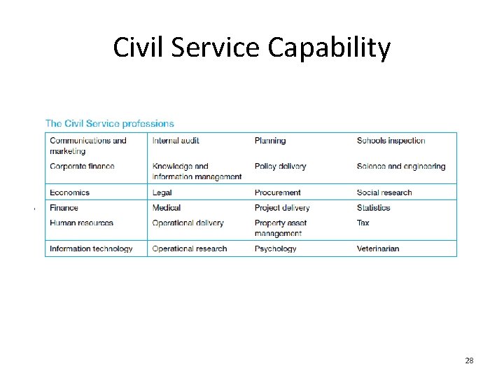 Civil Service Capability 28 