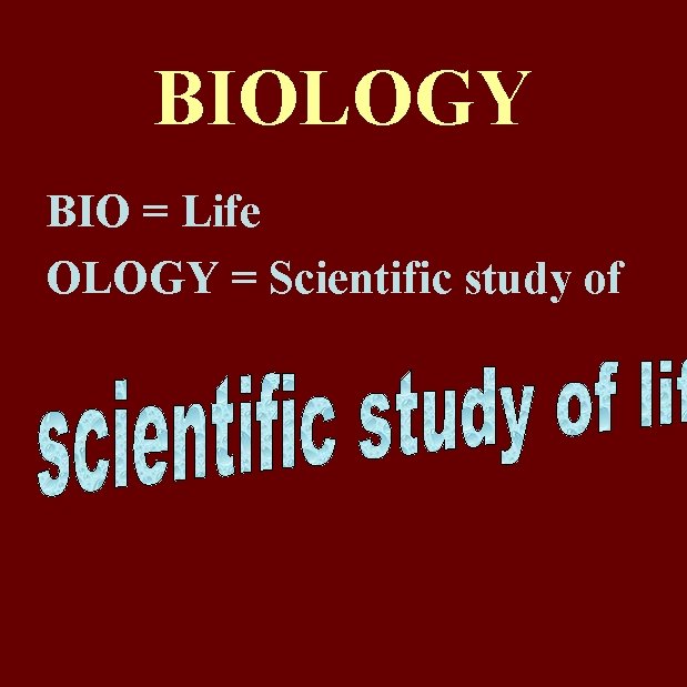 BIOLOGY BIO = Life OLOGY = Scientific study of 
