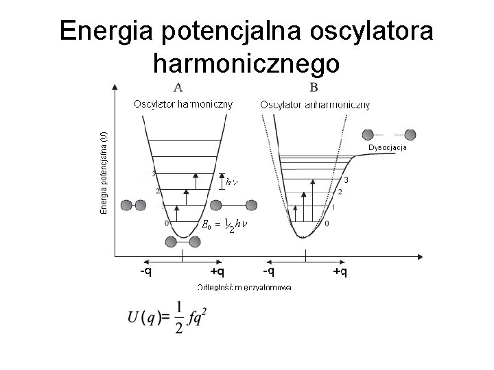 Energia potencjalna oscylatora harmonicznego 