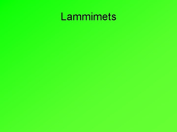 Lammimets 