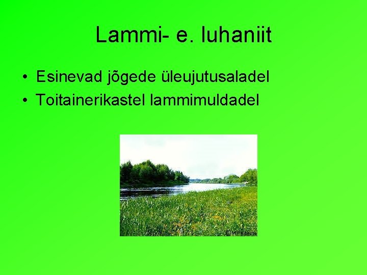 Lammi- e. luhaniit • Esinevad jõgede üleujutusaladel • Toitainerikastel lammimuldadel 