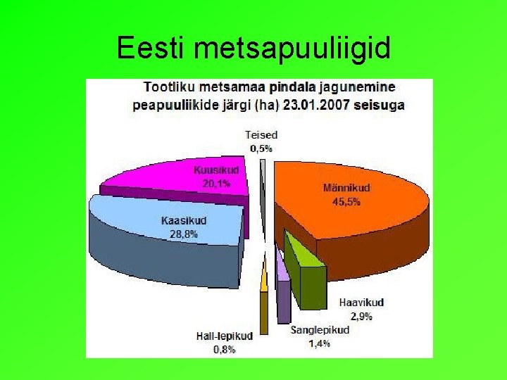 Eesti metsapuuliigid 