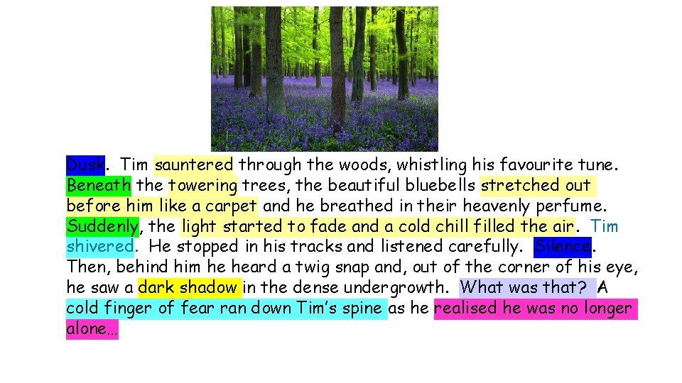 Dusk. Tim sauntered through the woods, whistling his favourite tune. Beneath the towering trees,