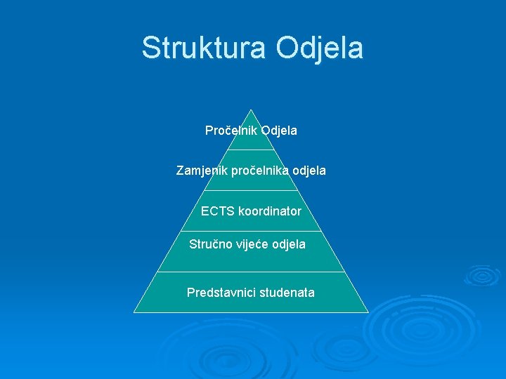 Struktura Odjela Pročelnik Odjela Zamjenik pročelnika odjela ECTS koordinator Stručno vijeće odjela Predstavnici studenata