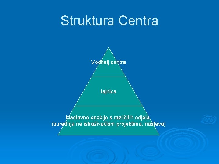 Struktura Centra Voditelj centra tajnica Nastavno osoblje s različitih odjela (suradnja na istraživačkim projektima,