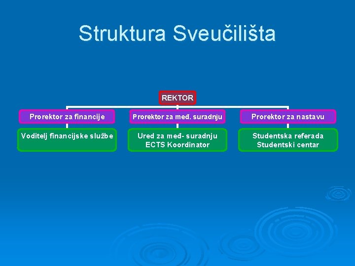 Struktura Sveučilišta REKTOR Prorektor za financije Prorektor za međ. suradnju Prorektor za nastavu Voditelj