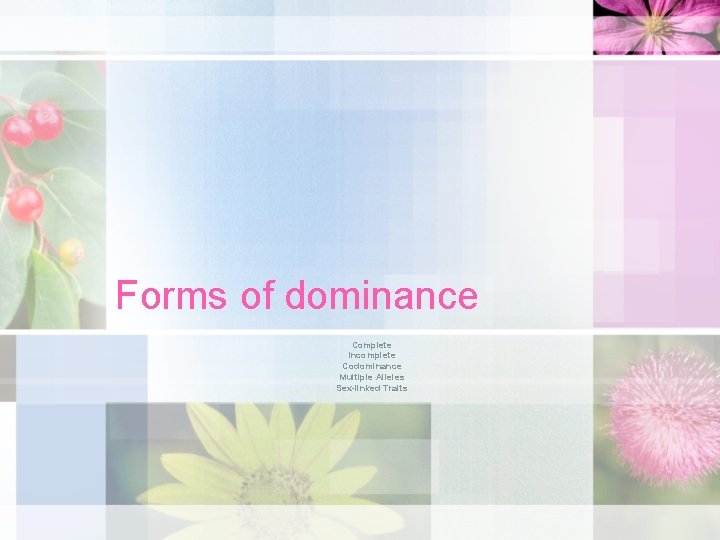 Forms of dominance Complete Incomplete Codominance Multiple Alleles Sex-linked Traits 