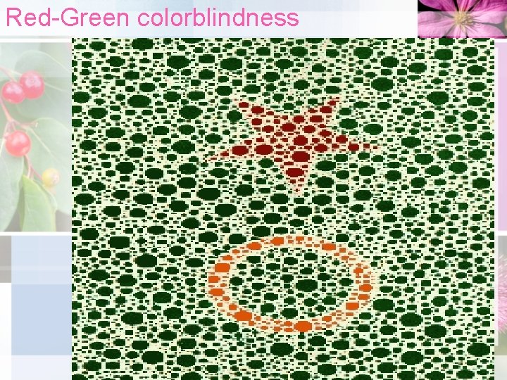 Red-Green colorblindness 