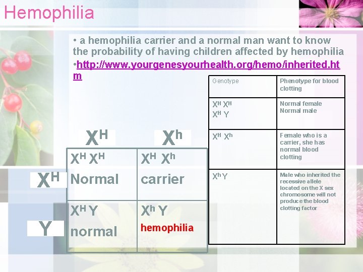 Hemophilia • a hemophilia carrier and a normal man want to know the probability