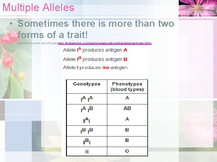 Multiple Alleles • Sometimes there is more than two forms of a trait! •