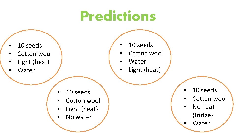 Predictions • • 10 seeds Cotton wool Light (heat) Water • • 10 seeds
