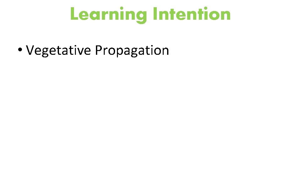 Learning Intention • Vegetative Propagation 