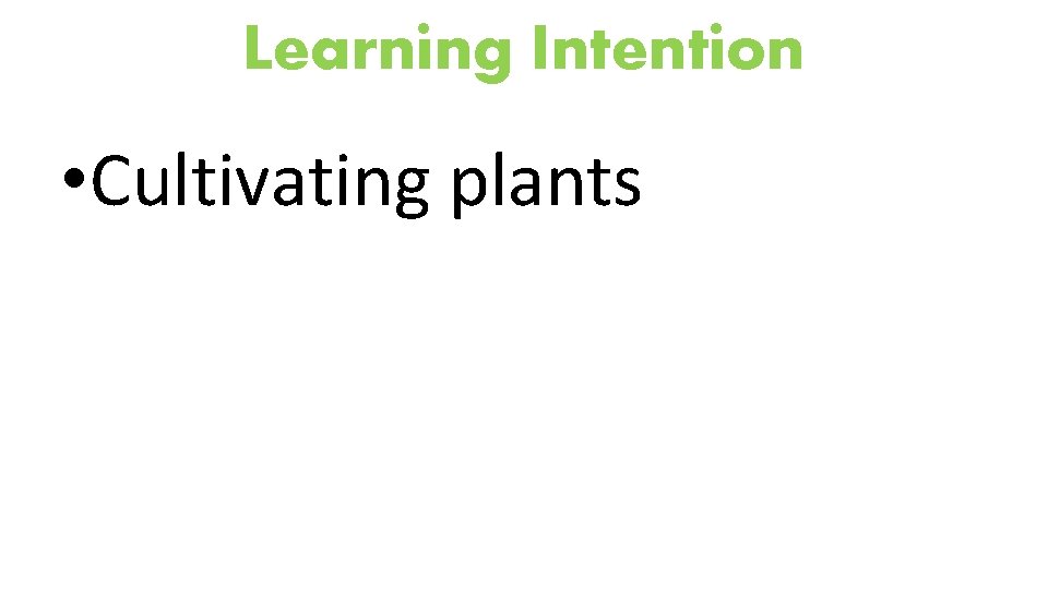Learning Intention • Cultivating plants 