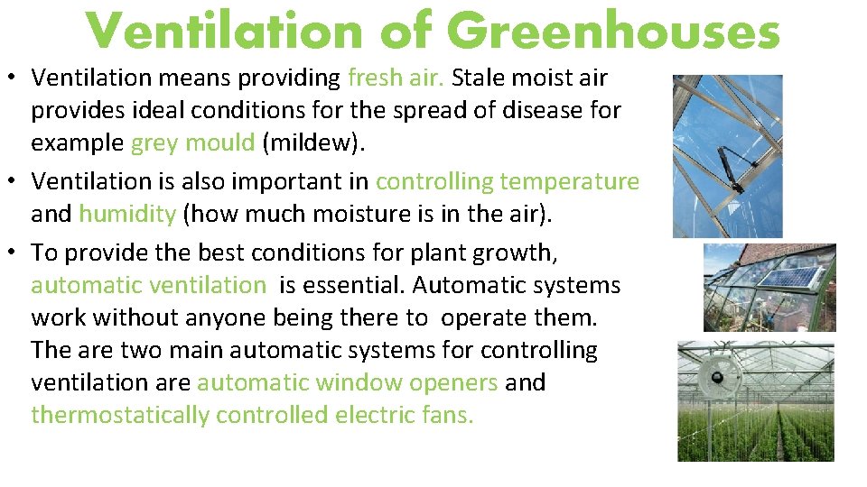 Ventilation of Greenhouses • Ventilation means providing fresh air. Stale moist air provides ideal