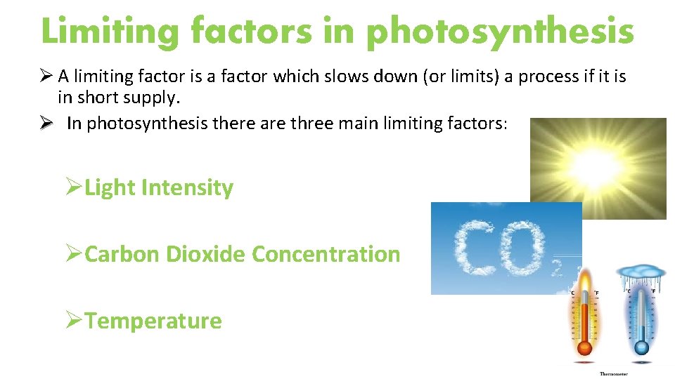 Limiting factors in photosynthesis Ø A limiting factor is a factor which slows down