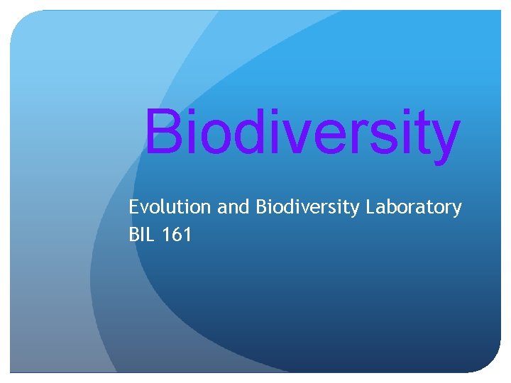 Biodiversity Evolution and Biodiversity Laboratory BIL 161 
