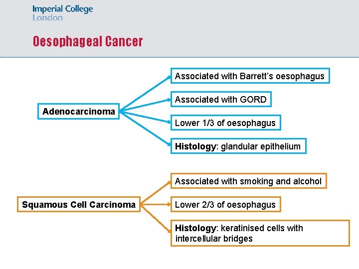 Oesophageal Cancer Associated with Barrett’s oesophagus Associated with GORD Adenocarcinoma Lower 1/3 of oesophagus