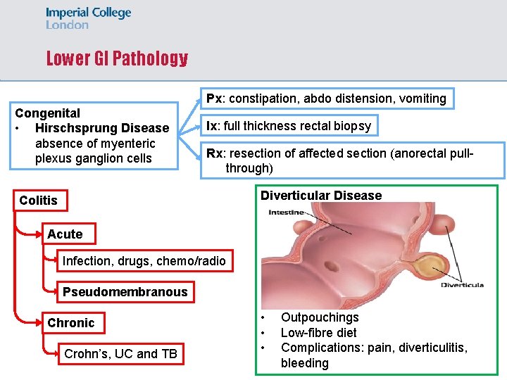 Lower GI Pathology Px: constipation, abdo distension, vomiting Congenital • Hirschsprung Disease absence of