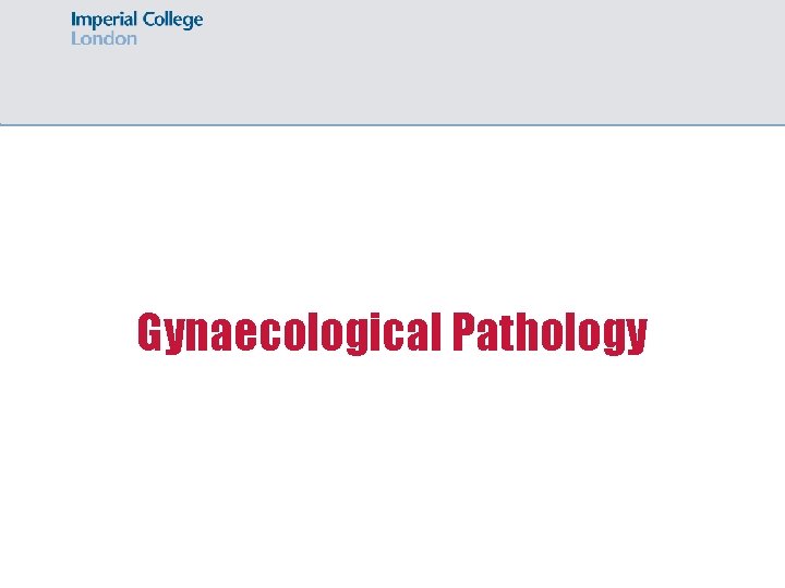 Gynaecological Pathology 